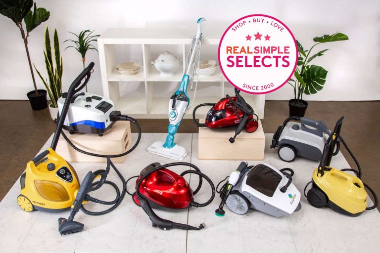 Best Steam Cleaner Which