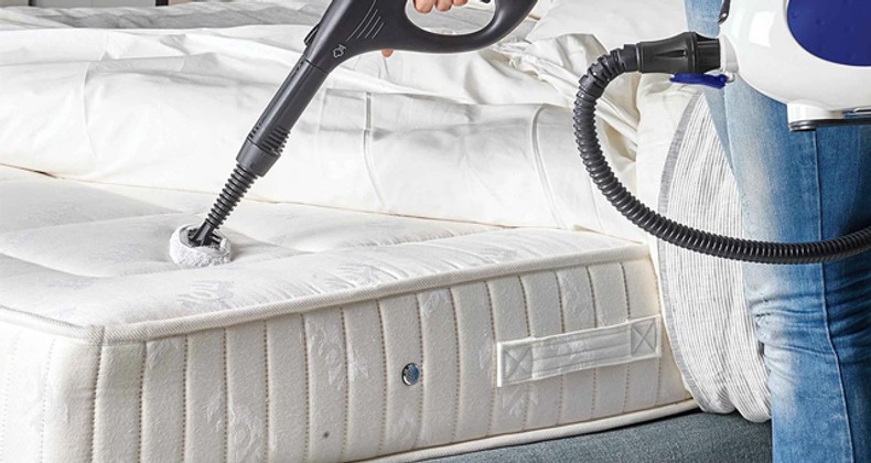 What Steam Cleaner is Best for Bed Bugs