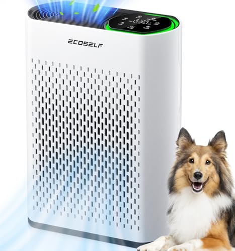 Air Purifier for Home Best Buy