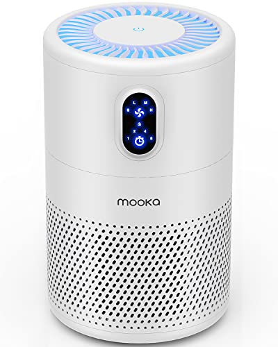 Air Purifier for Smoke Best Buy