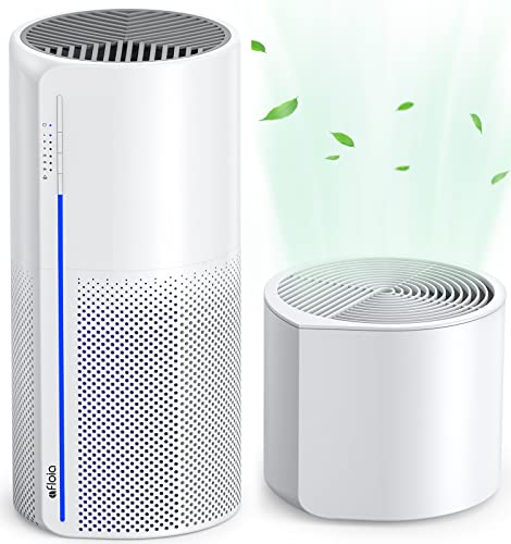 Best Air Purifier And Humidifier Combo for Home