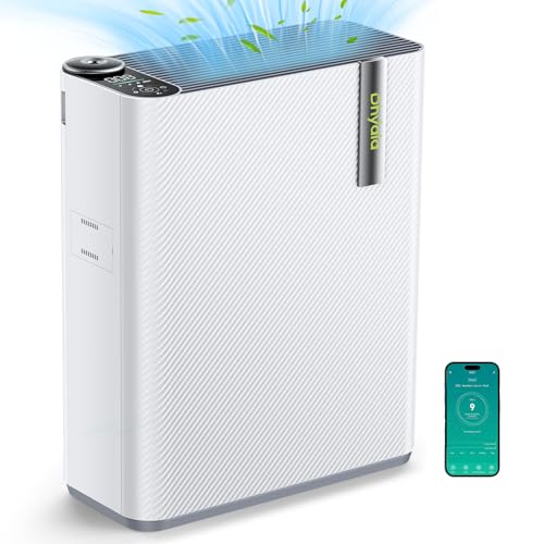 Best Air Purifier And Humidifier for Large Room