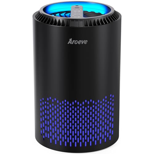 Best Air Purifier Fan for Allergies