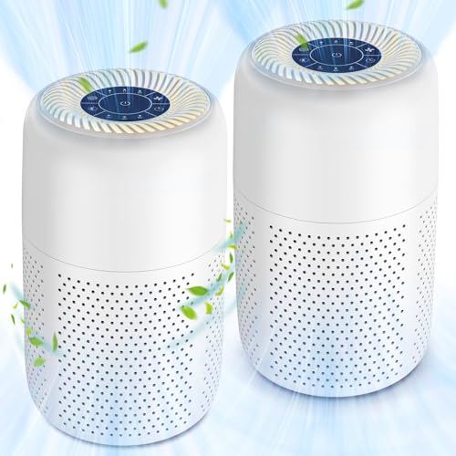 Best Air Purifier for 2 Bedroom Apartment