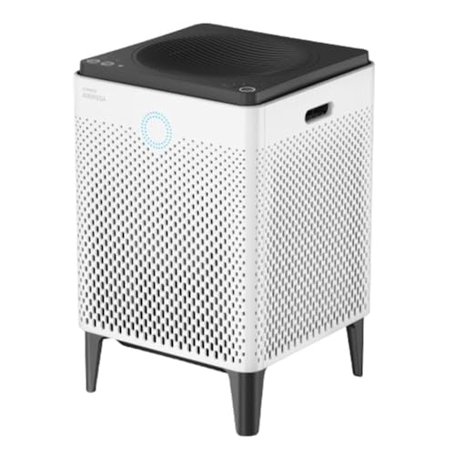 Best Air Purifier for 250 Sq Ft