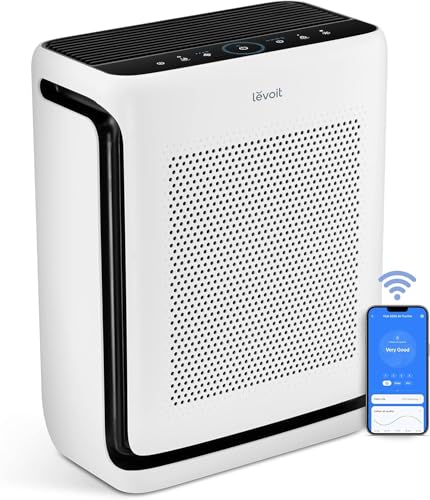 Best Air Purifier for a Large Room