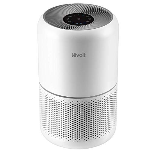 Best Air Purifier for Acrylic Nails