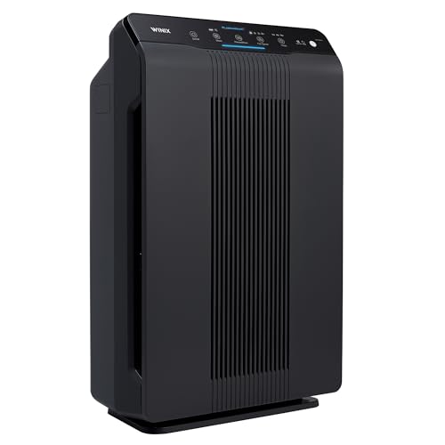 Best Air Purifier for Basements