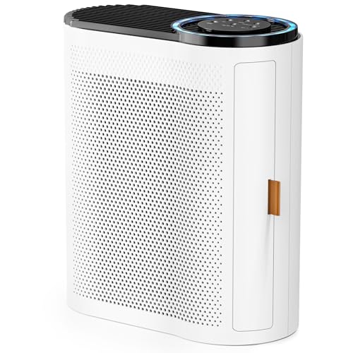 Best Air Purifier for Big Spaces