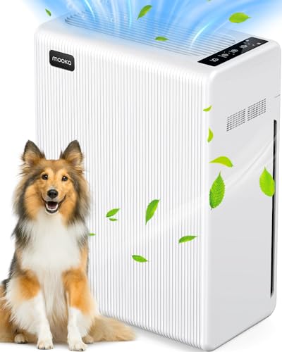 Best Air Purifier for Cat Hair And Dander