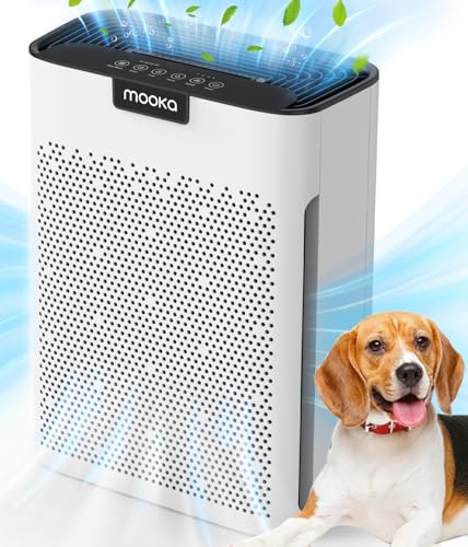 Best Air Purifier for Children'S Room