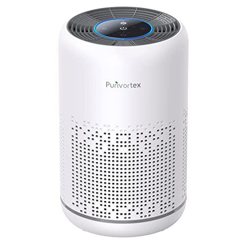 Best Air Purifier for Desk