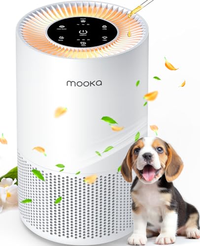 Best Air Purifier for Dog Owners