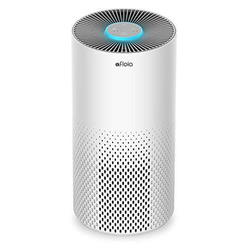 Best Air Purifier for Dust And Mold Allergies