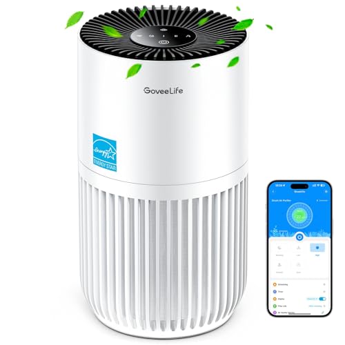 Best Air Purifier for Gases