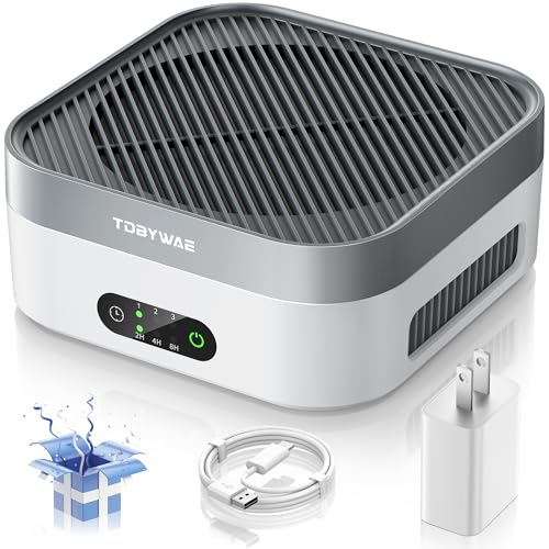 Best Air Purifier for Hotel Room