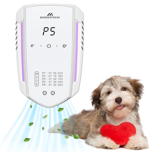 Best Air Purifier for Kitty Litter