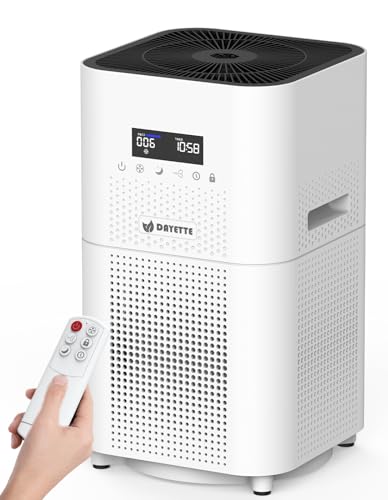 Best Air Purifier for Large House