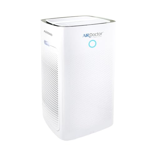 Best Air Purifier for Large Open Space