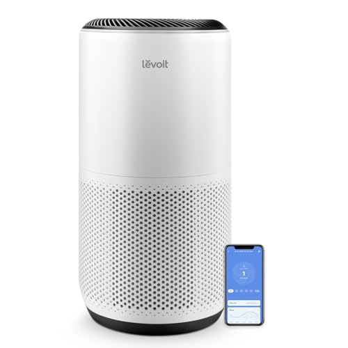 Best Air Purifier for Large Room