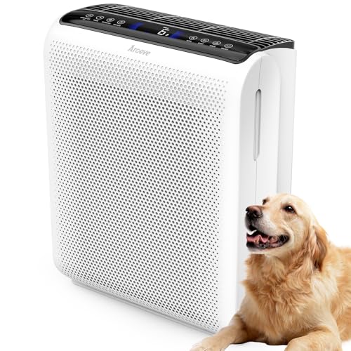 Best Air Purifier for Marijuana Smoke