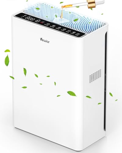 Best Air Purifier for Medium Sized Room