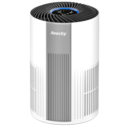 Best Air Purifier for Mold With Washable Filter