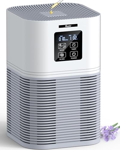 Best Air Purifier for Nail Room