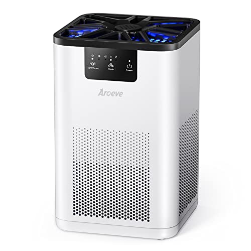 Best Air Purifier for Nail Techs