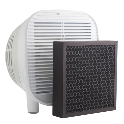 Best Air Purifier for off Gassing