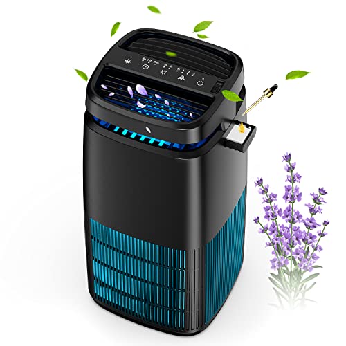 Best Air Purifier for One Smoker