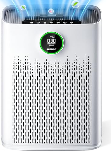 Best Air Purifier for People With Asthma