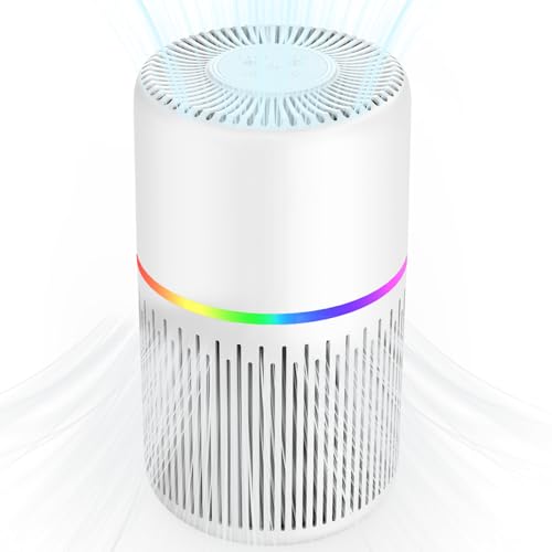 Best Air Purifier for Polluted Cities