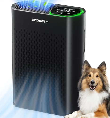 Best Air Purifier for Pulmonary Fibrosis