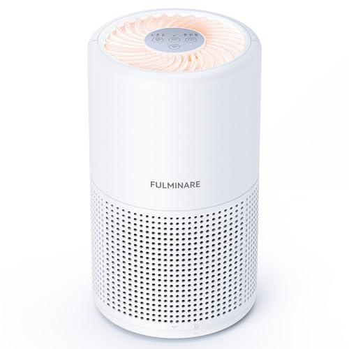 Best Air Purifier for Small Spaces