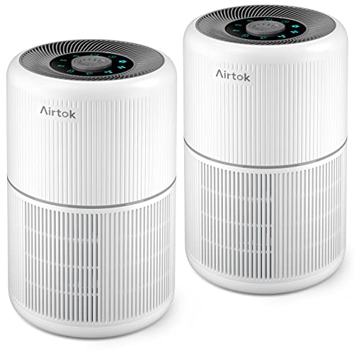 Best Air Purifier for Smokers Home