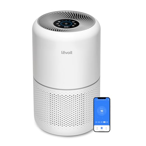 Best Air Purifier for White Noise