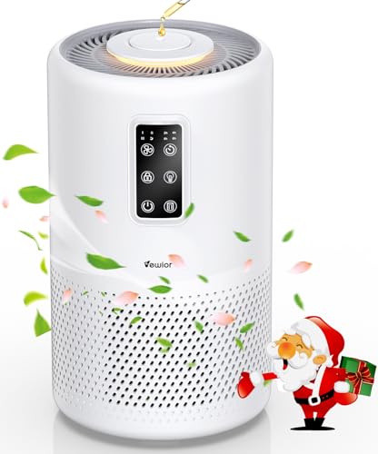 Best Air Purifier for Wildfire