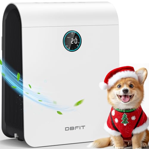 Best Air Purifier for Your Money