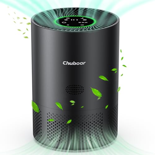 Best Bang for Buck Air Purifier