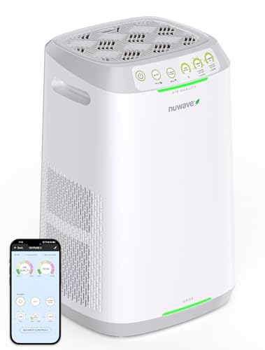 Best Budget Air Purifier for Large Rooms