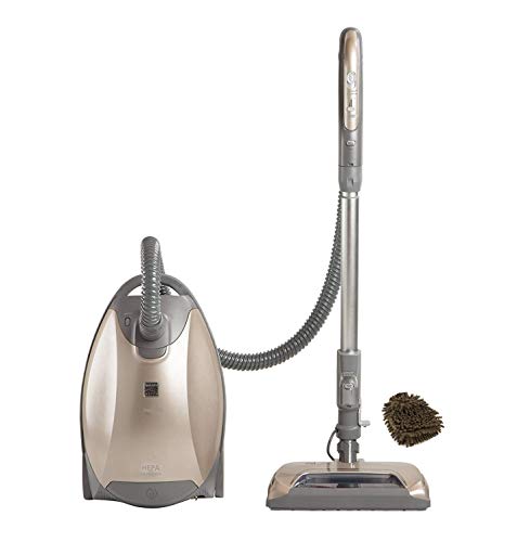Best Canister Vacuum for Allergy Sufferers