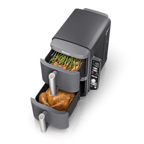 Best Dual Ninja Air Fryer