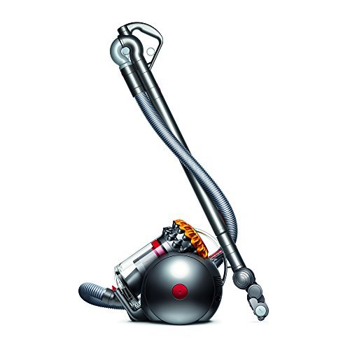 Best Dyson Canister Vacuum