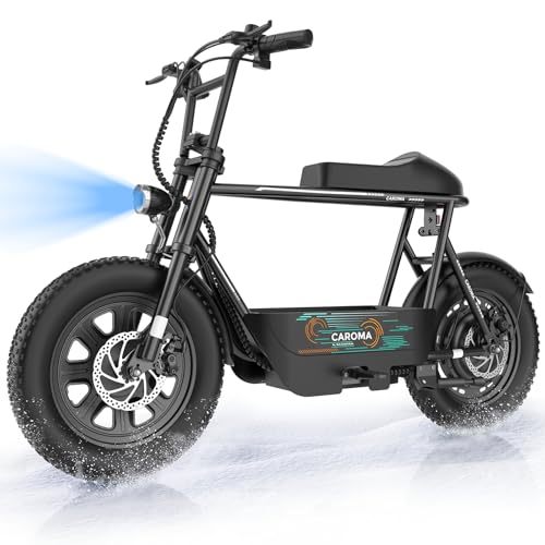 Best Electric Scooter for Fat Guy