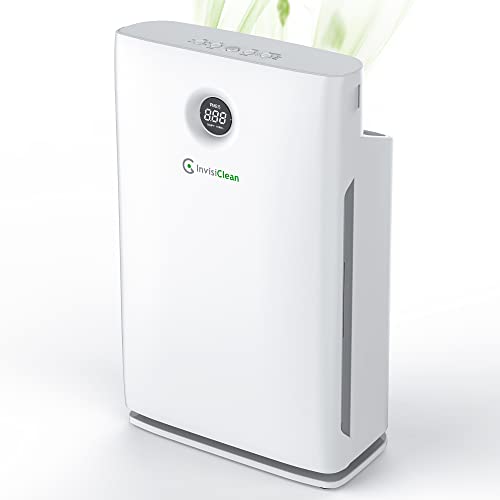 Best Medical Grade Air Purifier for Home