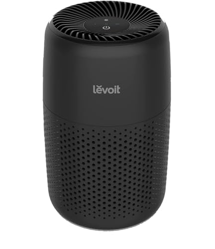 Best Portable Air Purifier for Allergies