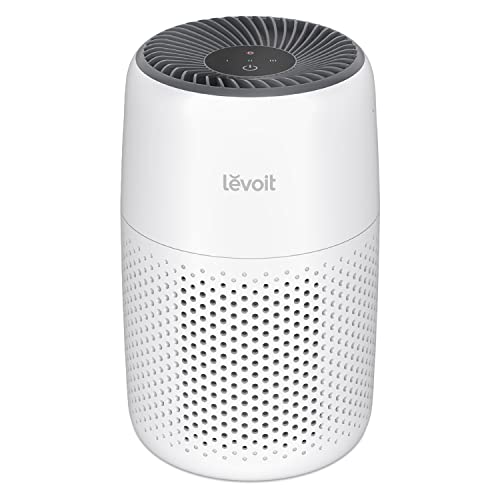 Best Small Air Purifier for Dorm