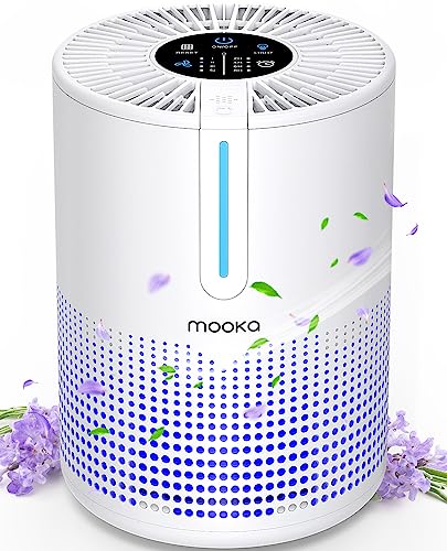 Best Small Air Purifier for Dust