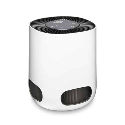 Best Small Air Purifier for Mold